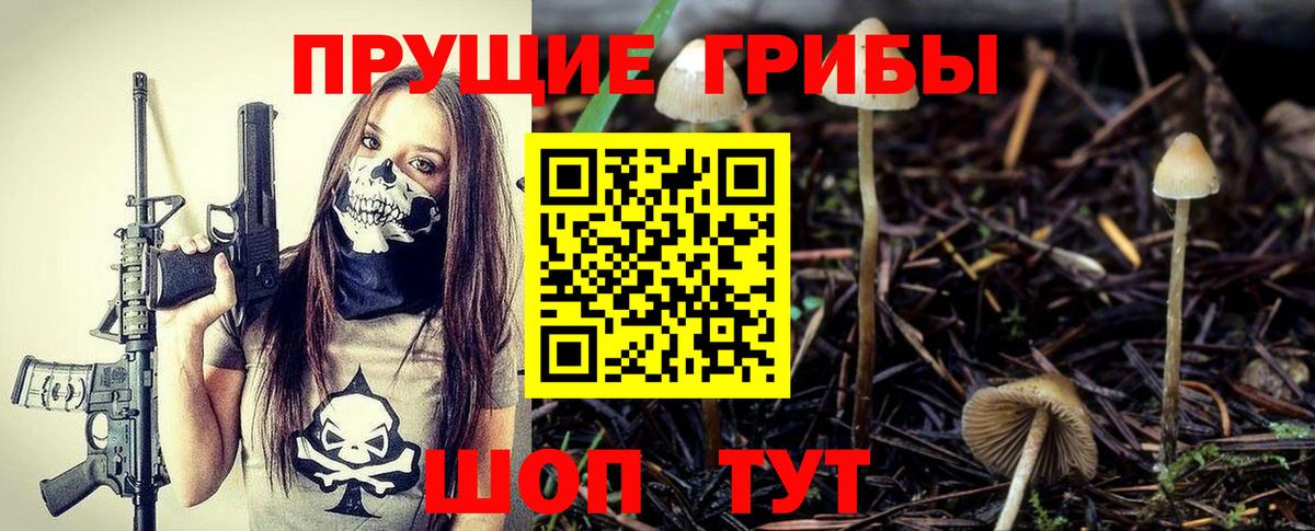 Сыктывкар  Галлюциногенные грибы Psilocybine cubensis  цены наркотик  Вход с VPN 